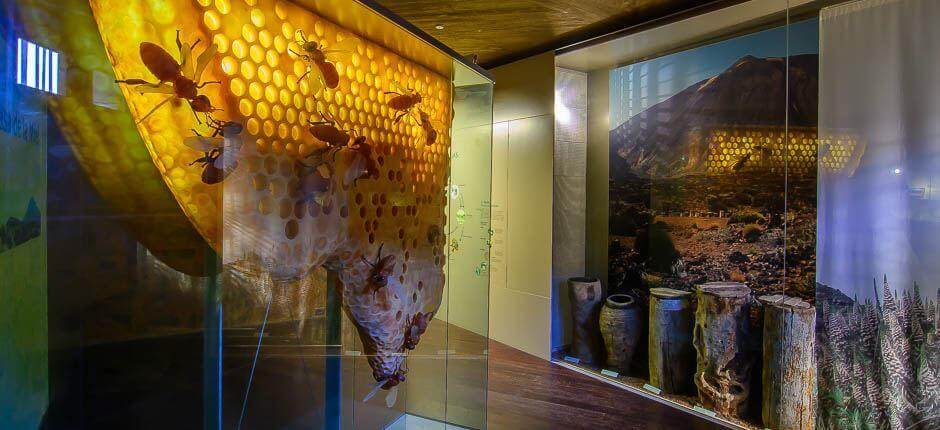Bor és méz háza Múzeumok és turista központok Tenerifén