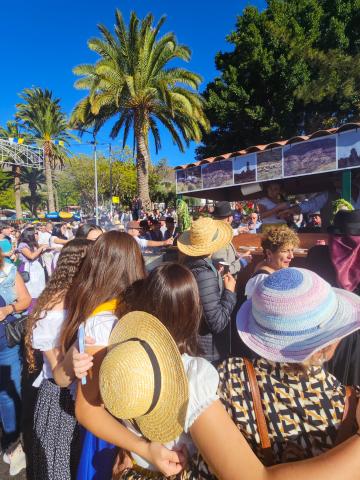 20240803romeria_ofrenda_fiestas_de_san_lorenzo