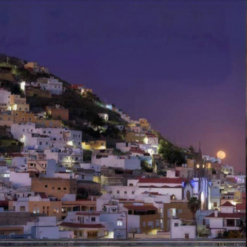 fiesta_montana_cardones