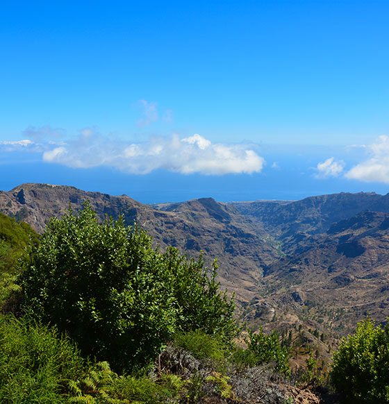 EspaciosNaturales.LG_.ParqueLaMajona.PH14116