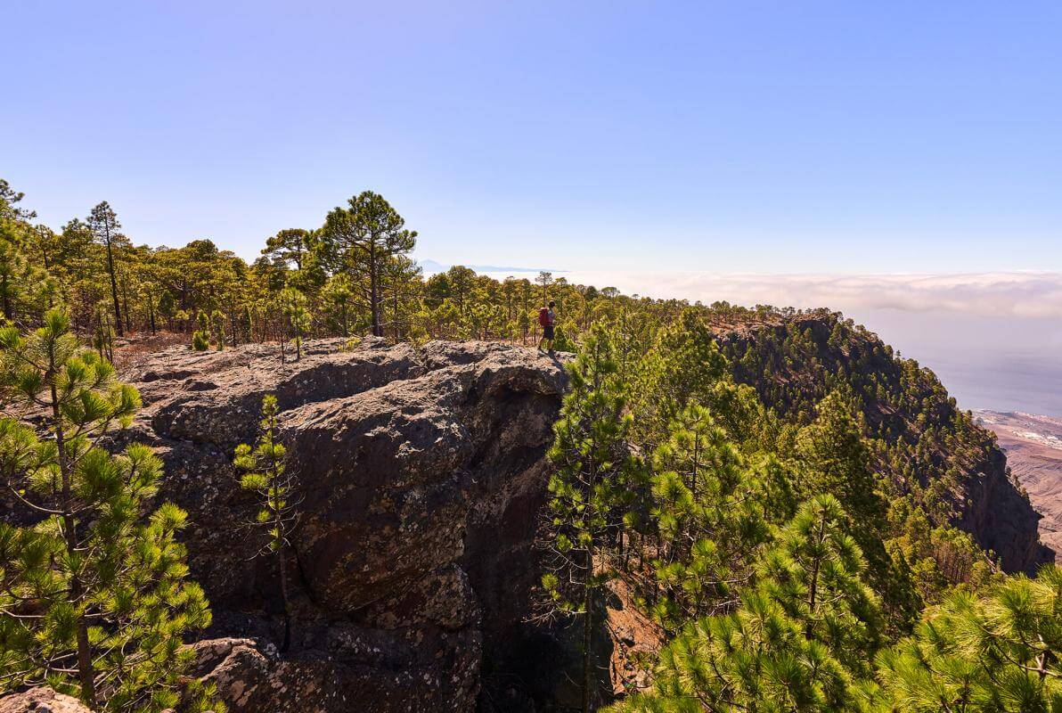 Parque Natural de Tamadaba, en Gran Canaria