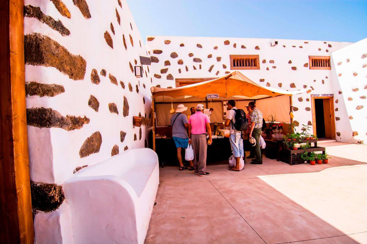 Parque Natural de Corralejo, Corralejo, ruta teatralizada de La Oliva, El Cotillo - galeria4