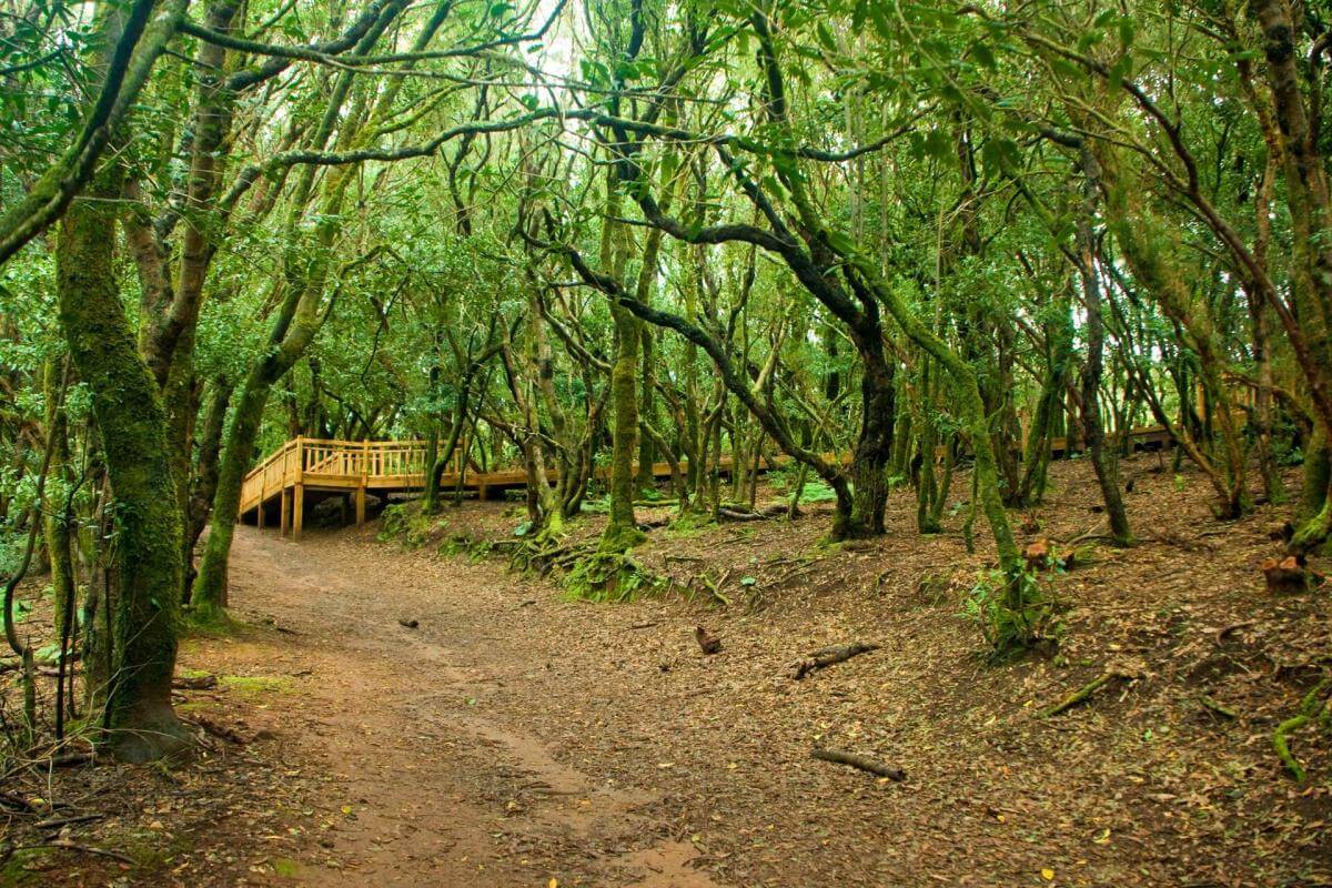 Una excursión a un espacio natural y una experiencia sensorial - galeria3