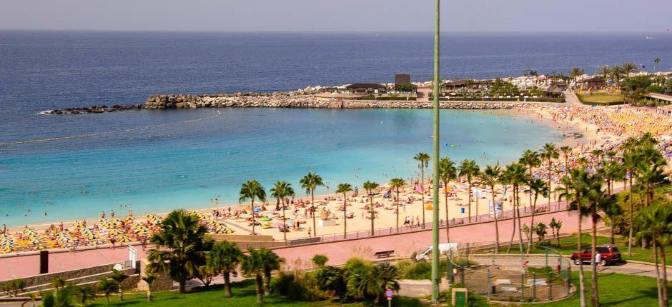 Playa de Amadores strand Gran Canaria népszerű strandjai