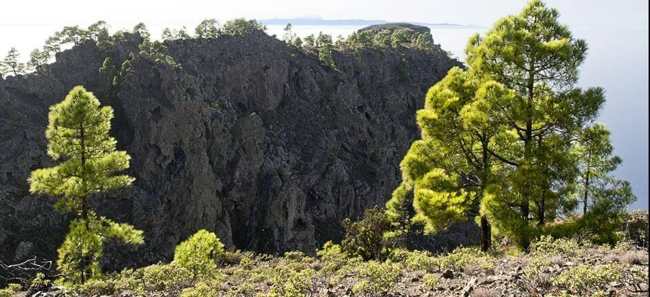 Tamadaba-Bajada de Faneque. Senderos de Gran Canaria