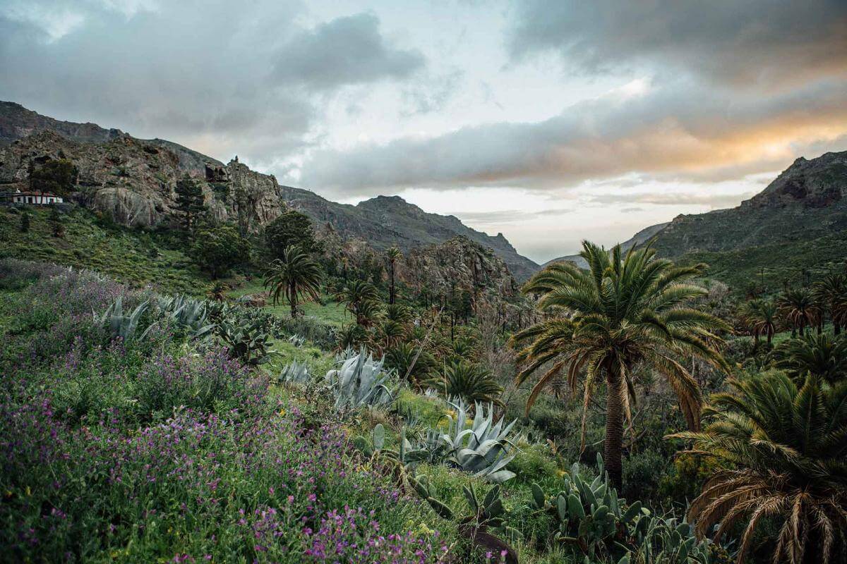 Reserva Natural Integral de Benchijigua La Gomera