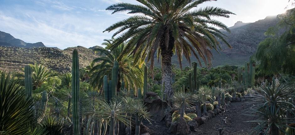 Cactualdea Park Gran Canaria múzeumai és idegenforgalmi központjai