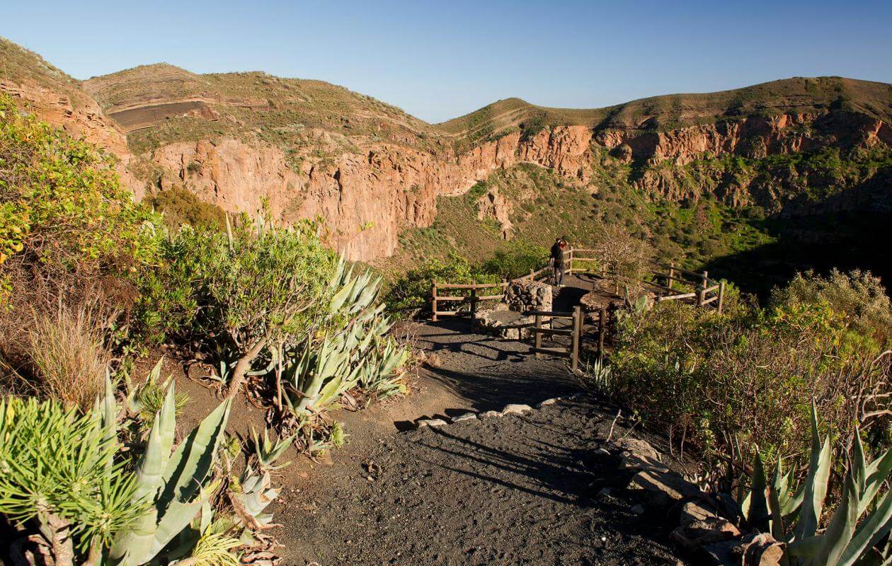 Caldera de Bandama. Senderos de Gran Canaria