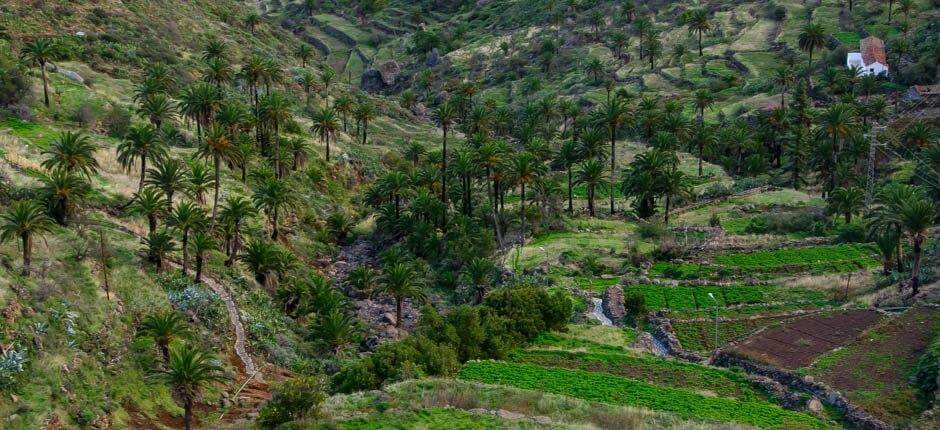 Imada – La Gomera-i falvak