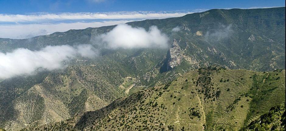 Circular de Vallehermoso. Senderos de La Gomera