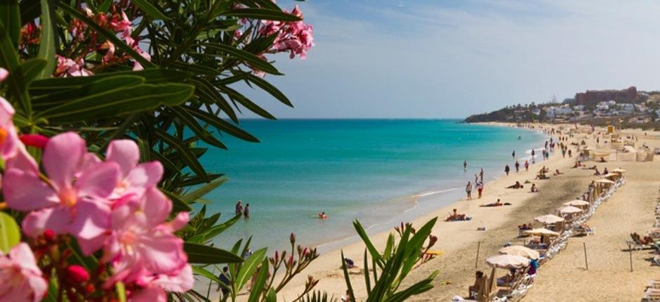 Costa Calma strand Fuerteventura népszerű strandjai