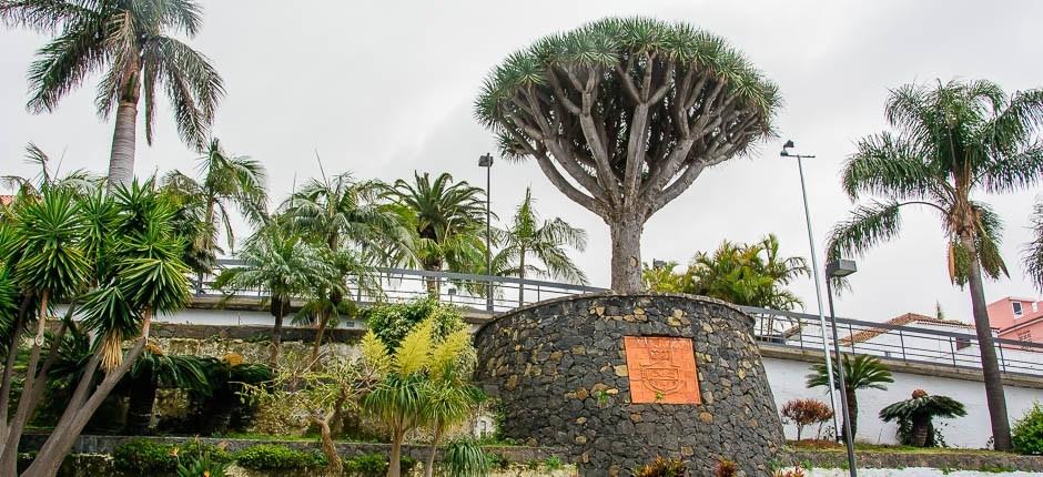 El Sauzal – Tenerife varázslatos városkái 