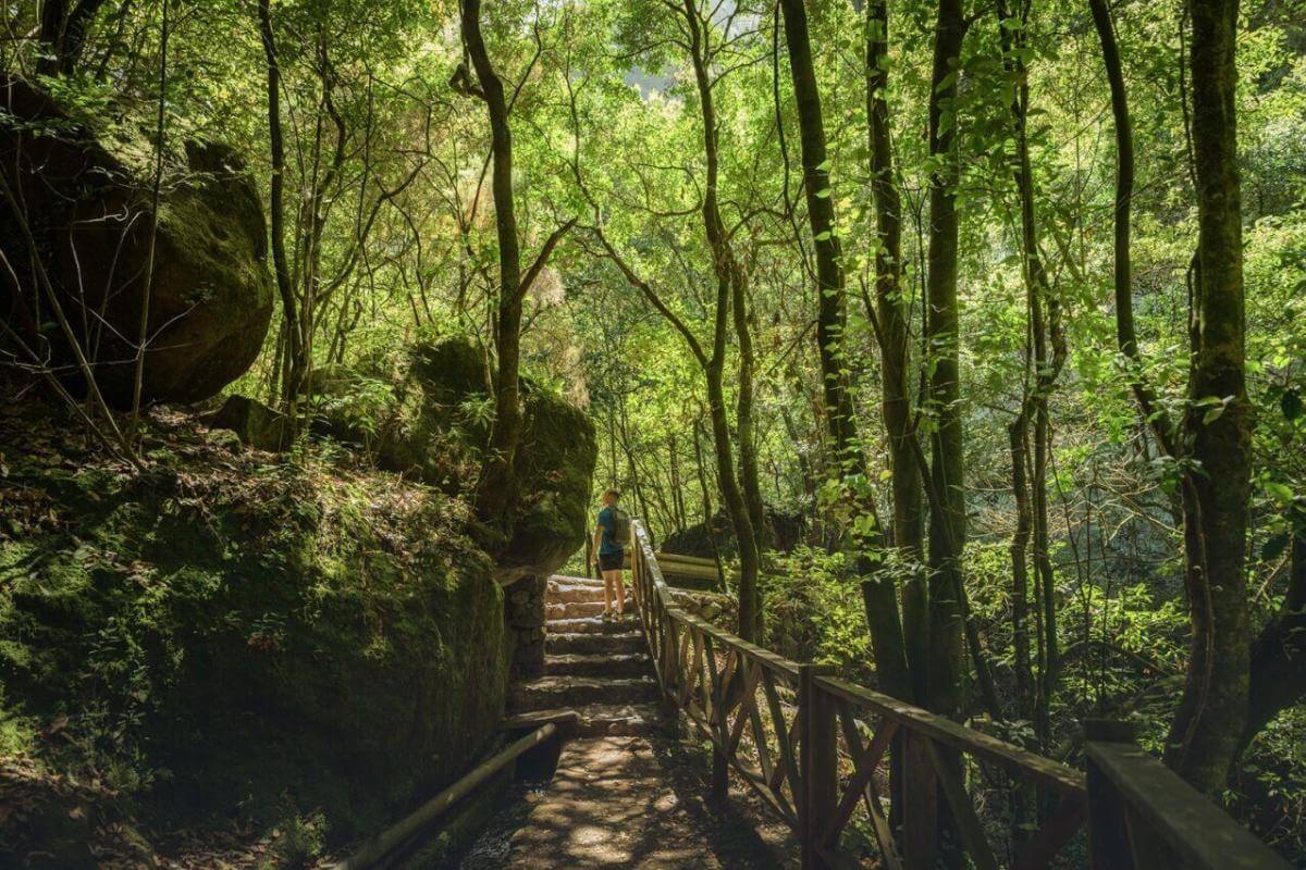 Parque Natural de Las Nieves