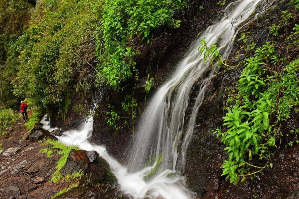 Parque Natural de Las Nieves