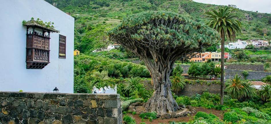 Icod de los Vinos óvárosa + Tenerife történelmi városai