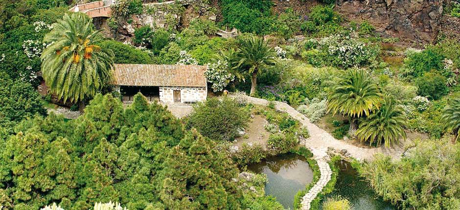 Viera y Clavijo Botanikus kert Múzeumok és turista központok Gran Canarian