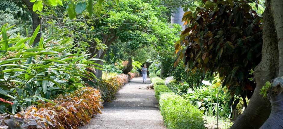 La Orotava akklimatizációs kertje Múzeumok és turista központok Tenerifén