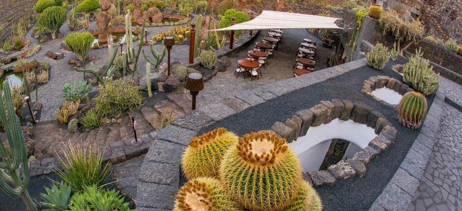 Kaktuszkert Múzeumok és turista központok Lanzarotéban