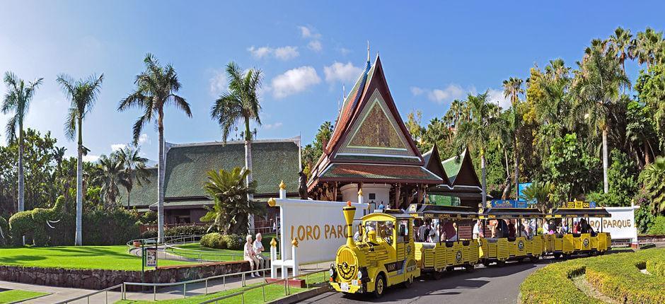 Loro Park Állatkertek Tenerife