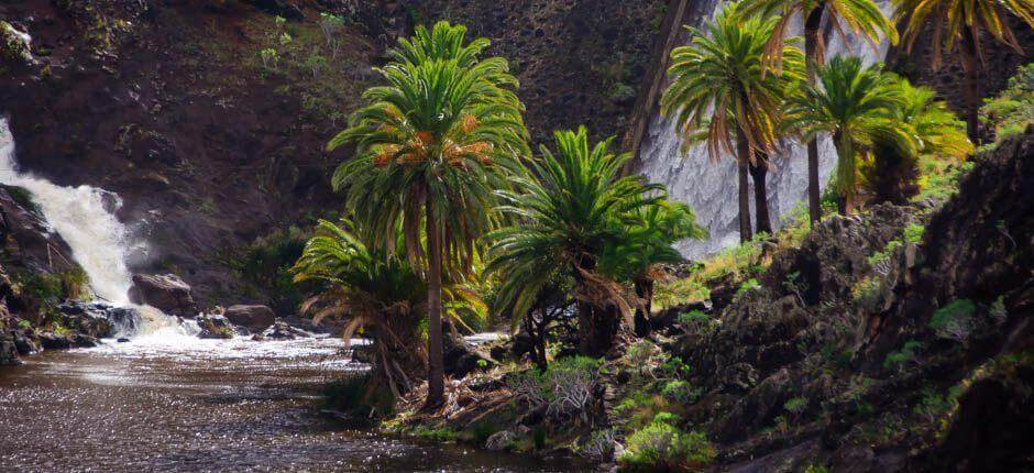 Chejelipes – La Gomera-i falvak