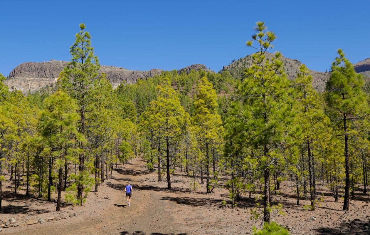 Los Cristianos - Teide-Trail