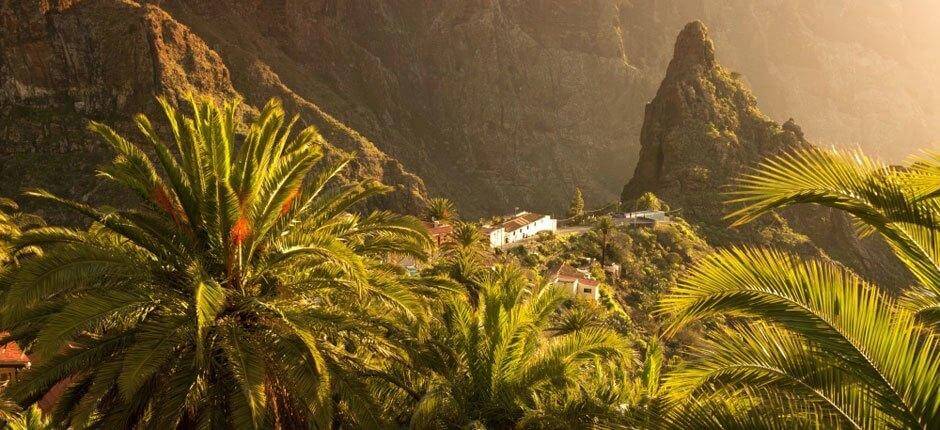 A Mirador de Cherfe Tenerifén