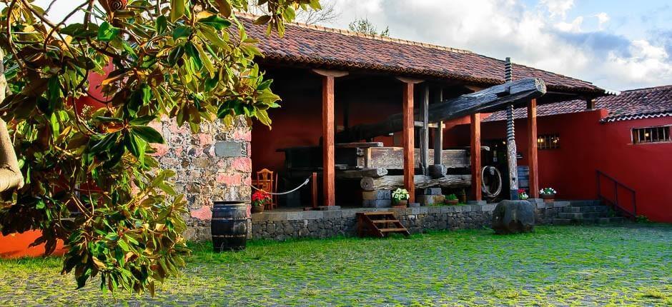 Bor és méz háza Múzeumok és turista központok Tenerifén