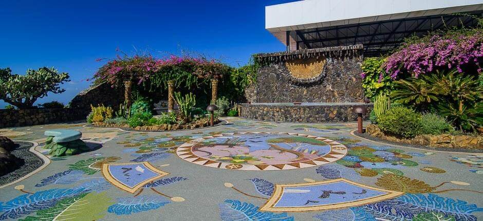 La Palma-i Bormúzeum + Borászatok La Palmán