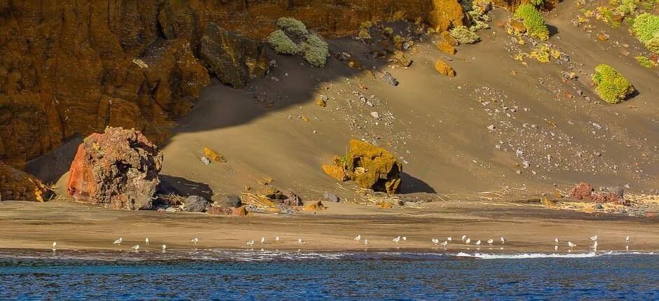 Antequera strand + Érintetlen partok