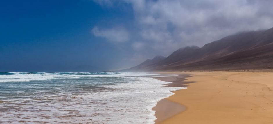 Cofete strand + Fuerteventura érintetlen partjai