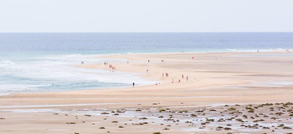 Sotavento strand + Fuerteventura érintetlen partjai