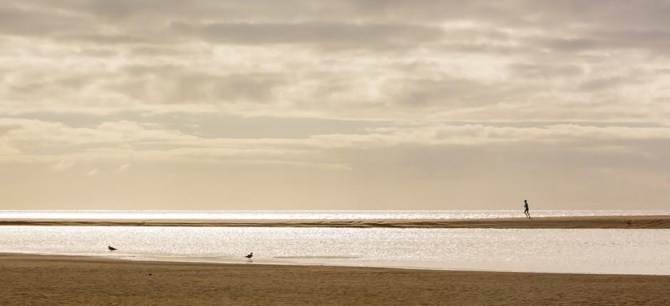 Sotavento strand + Fuerteventura érintetlen partjai