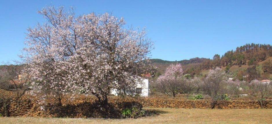 El Pinar – El Hierro varázslatos városkái