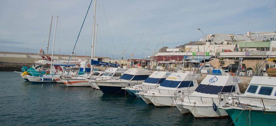 Puerto Rico kishajókikötő; Kishajó- és jachtkikötők Gran Canarián