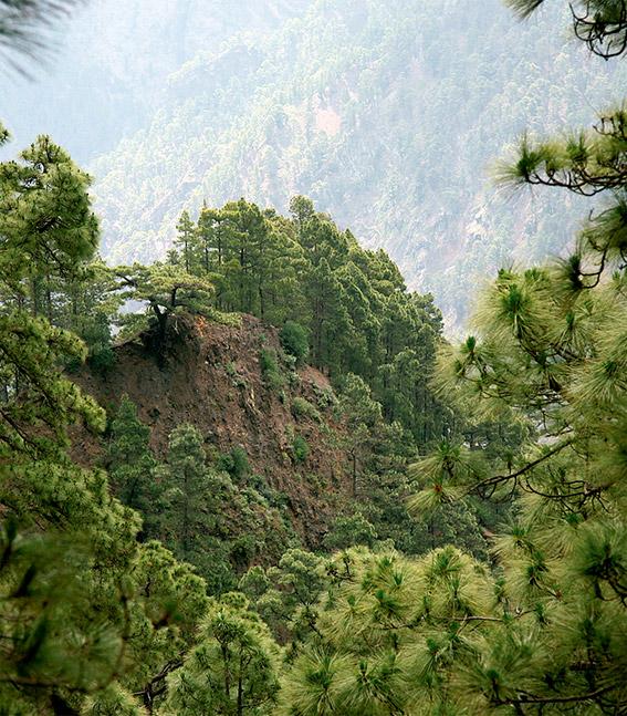 Caldera de Taburiente