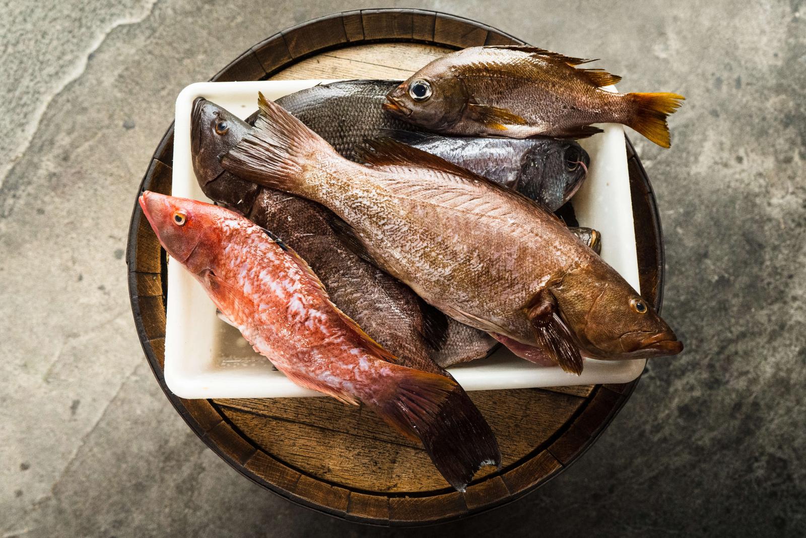Pescado fresco