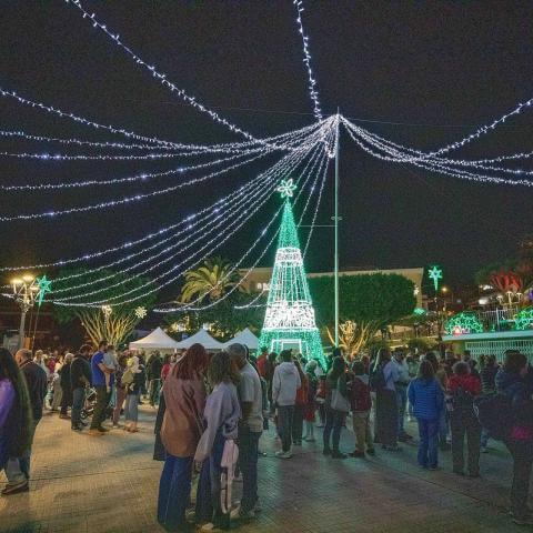 encendido-navidad-2024