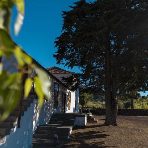 la-casona-del-patio-00013
