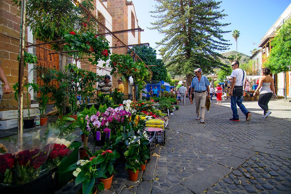 Mercadillo Teror - Gran Canaria