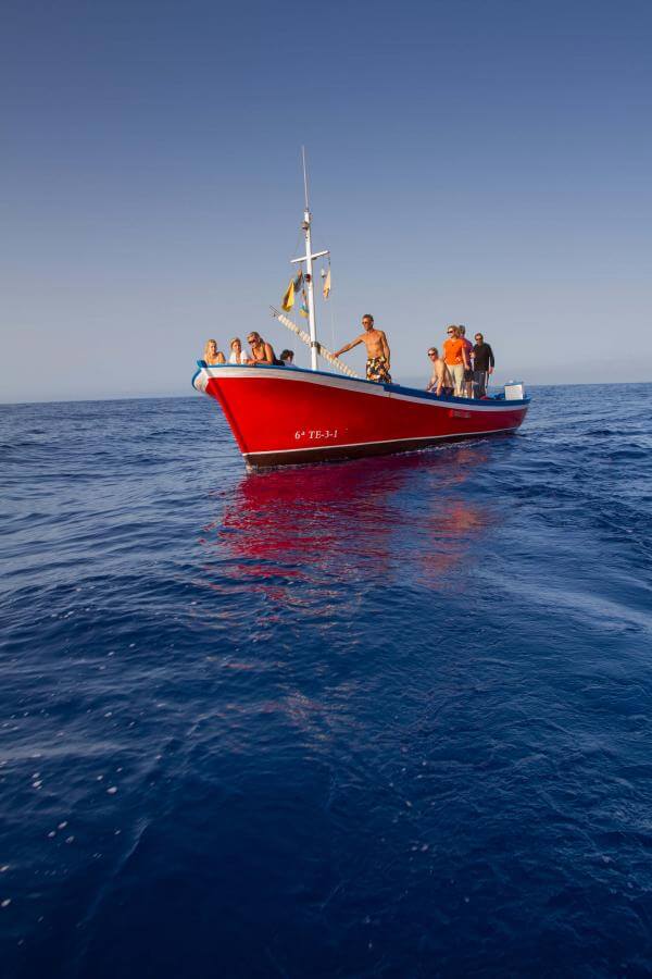 Avistamiento de cetáceos Puerto de Las Vueltas - galeria5