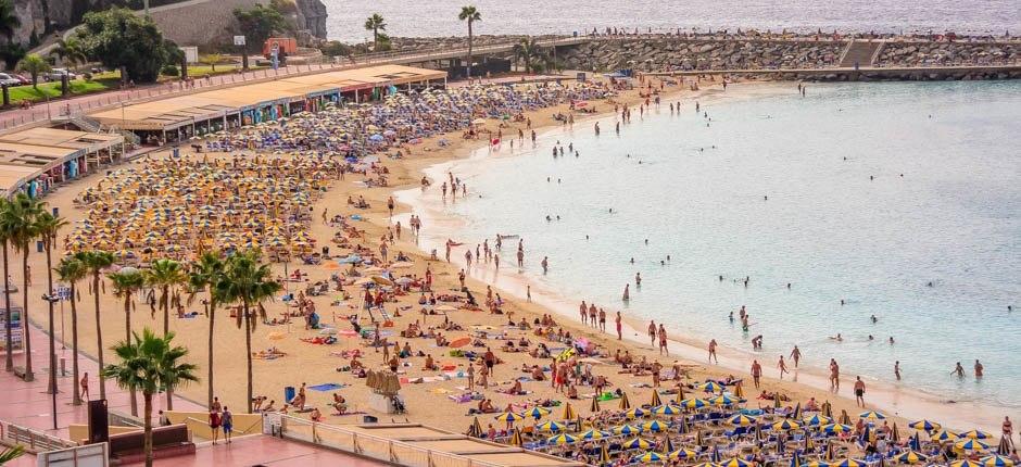 Playa de Amadores strand Gran Canaria népszerű strandjai