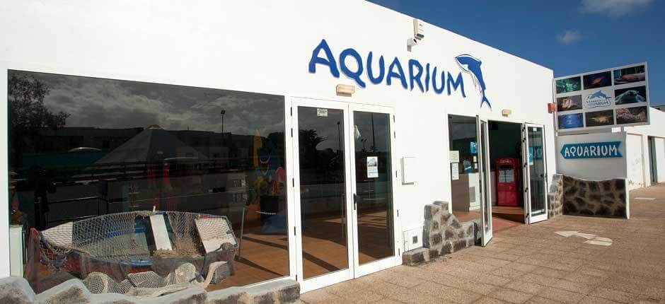 Aquarium Lanzarote akváriumai