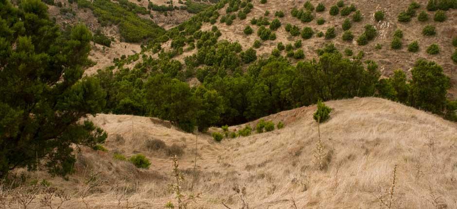 Garoé fa El Hierron