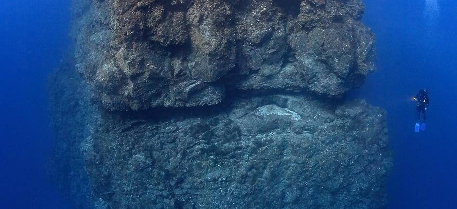 Merülés Baja Bocarones mellett, El Hierro