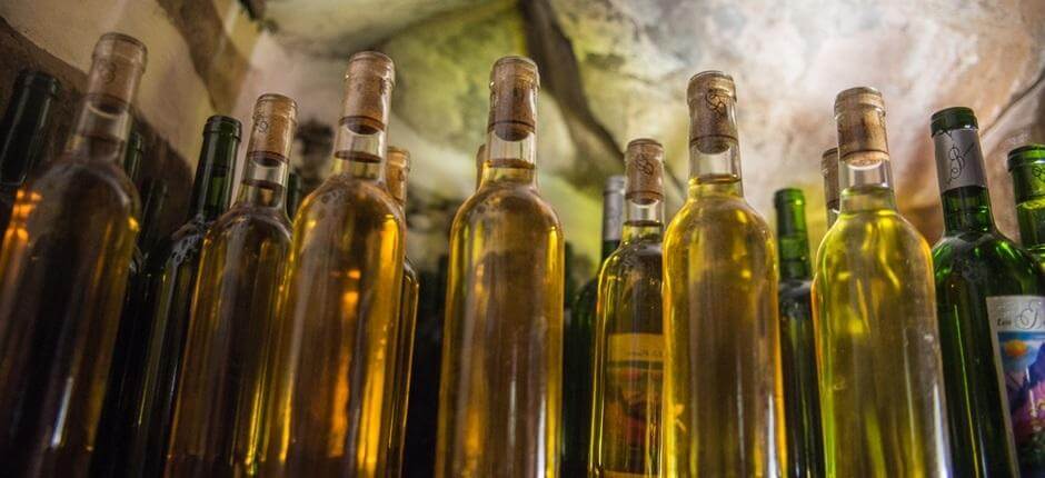 Bodega Los Berrazales + Borászatok Gran Canarián