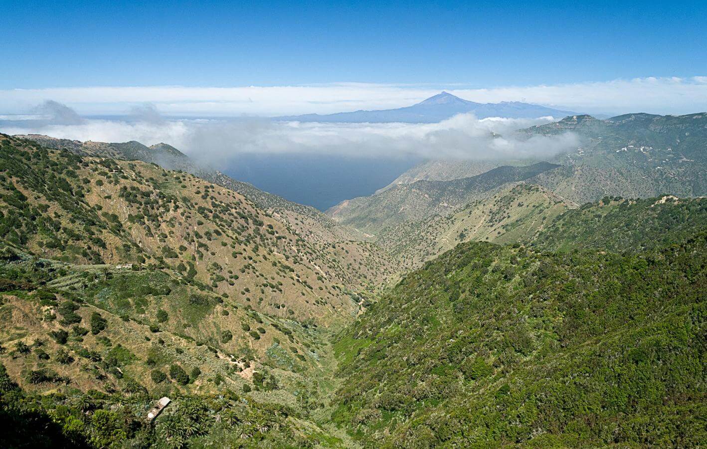 Circular de Vallehermoso. Senderos de La Gomera