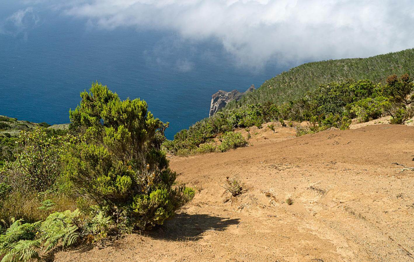 Circular de Vallehermoso. Senderos de La Gomera