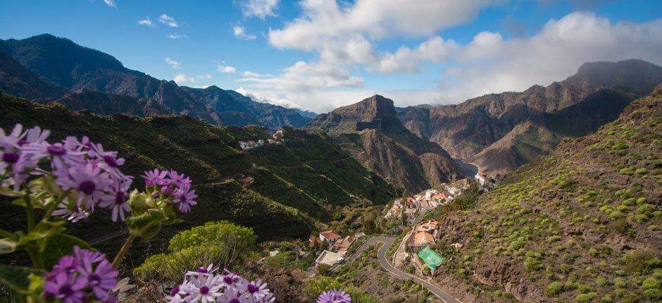 Carrizal de Tejeda – Gran Canaria-i falvak