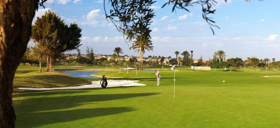 Fuerteventura Golf Club Fuerteventura golfpályái
