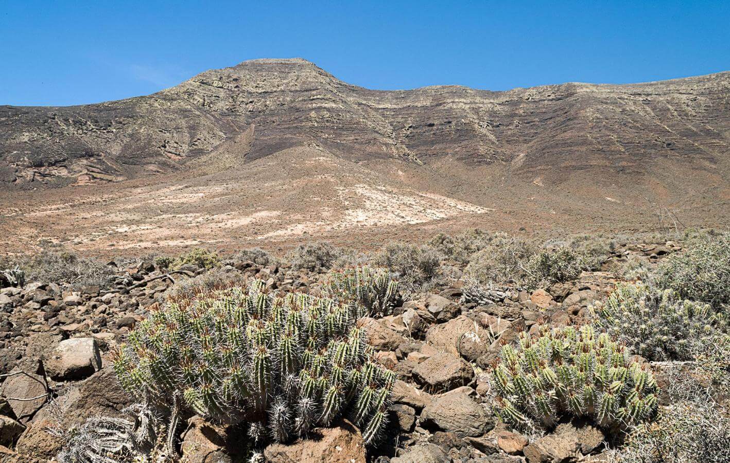 Gran Valle Senderos en Fuerteventura